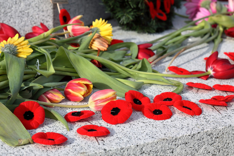 Illustration for article titled 2018 Remembrance Day at Mountain View Cemetery